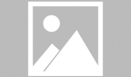 动物交配视频马,揭秘神奇交配瞬间